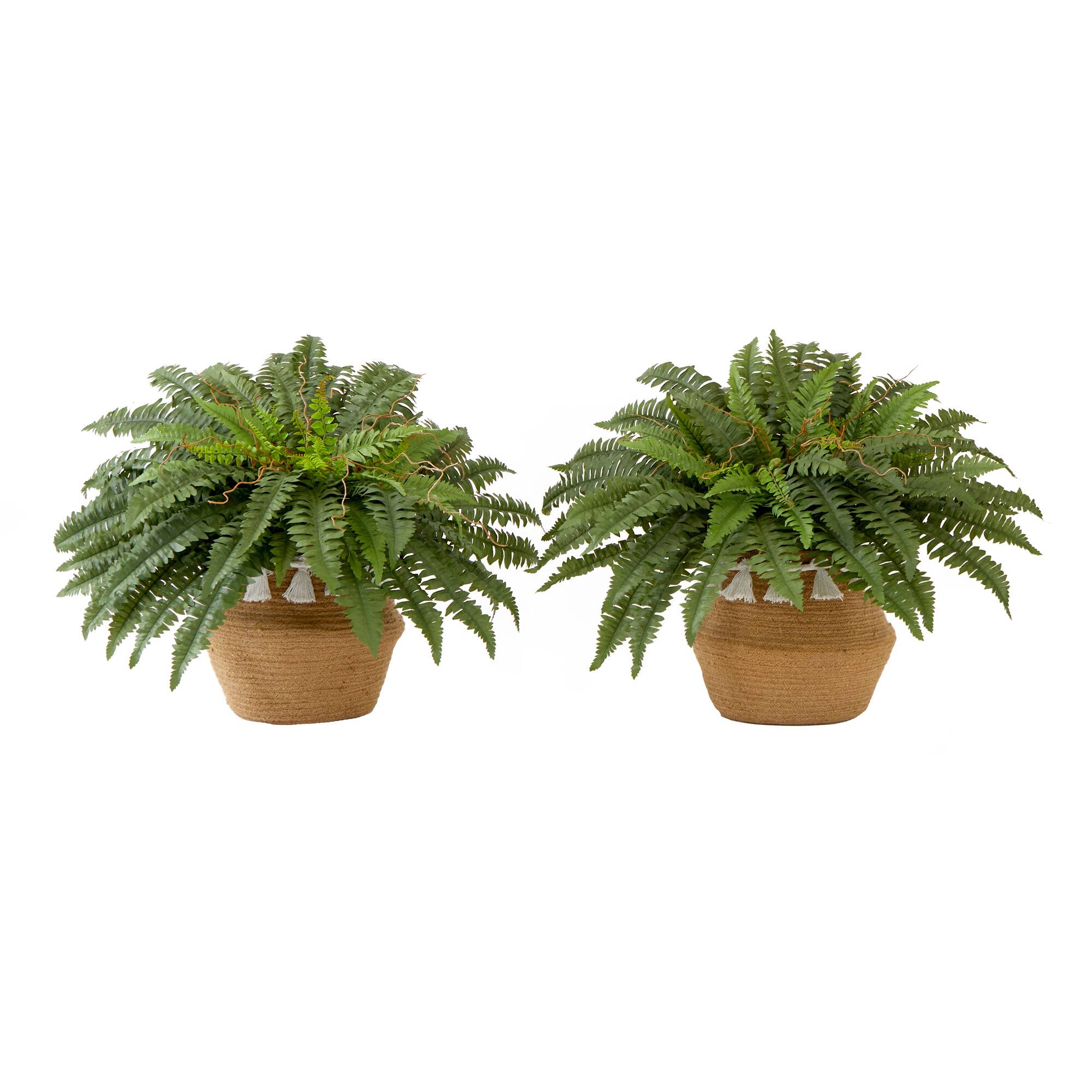 23" Artificial Boston Fern Plant with Handmade Jute & Cotton Basket with Tassels